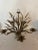 Rustic European 1950’s Gilt Sheaf of Wheat Chandelier Made in Italy (Not Wired) For Sale - Image 3 of 12