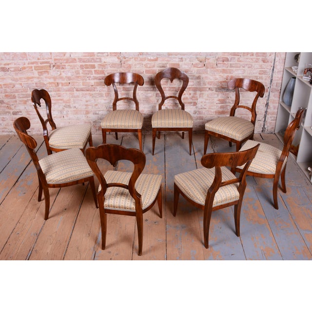 Biedermeier Chairs in Walnut, Austria, 1830s, Set of 8 For Sale - Image 4 of 14
