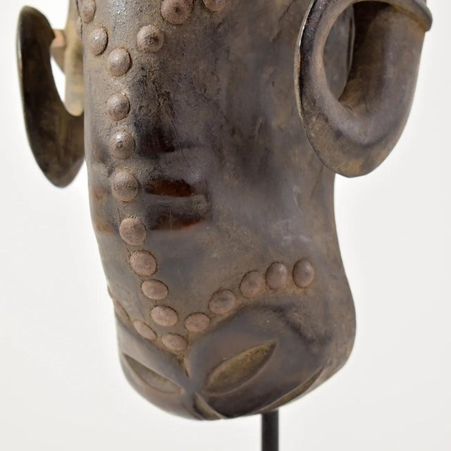 Early 20th Century Early 20th Century Baule Wooden Ram Mask Gbagba Cote d'Ivoire For Sale - Image 5 of 9