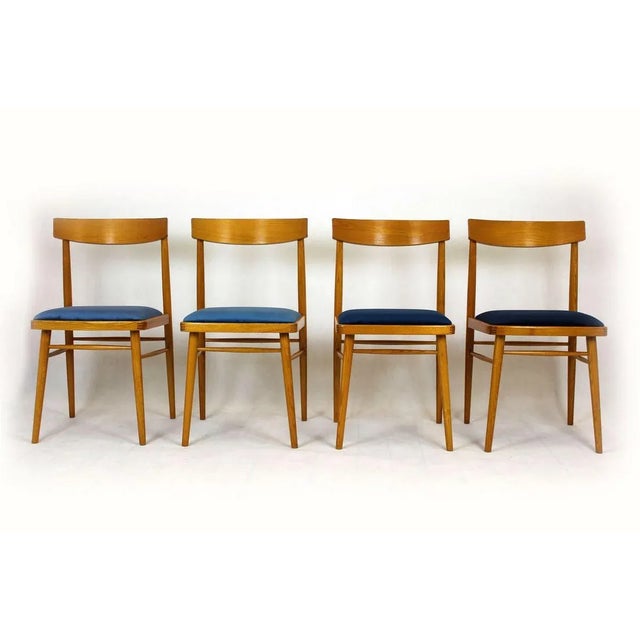 Mid-Century Modern Ash Dining Chairs from TON, 1960s, Set of 4 For Sale - Image 3 of 18