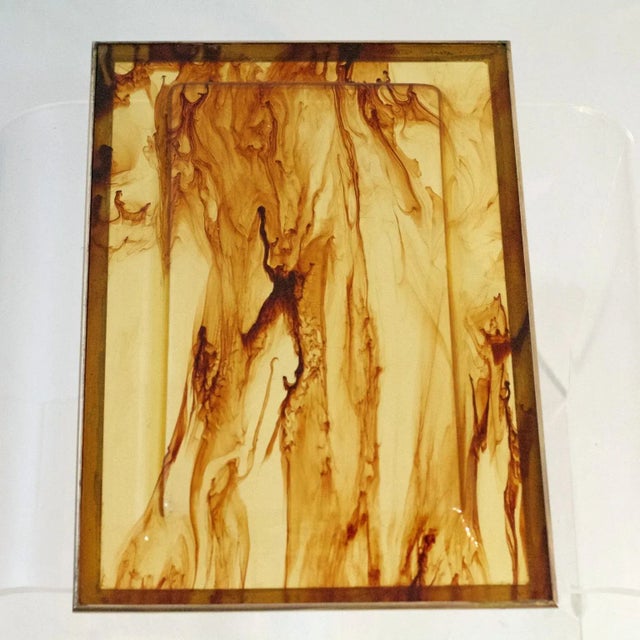 1970s Italian Acrylic Glass Tray with Tortoise Pattern and Brass Rim, 1970s For Sale - Image 5 of 5