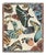 Colorful Butterfly Woven Throw Blanket – 60 × 50 For Sale