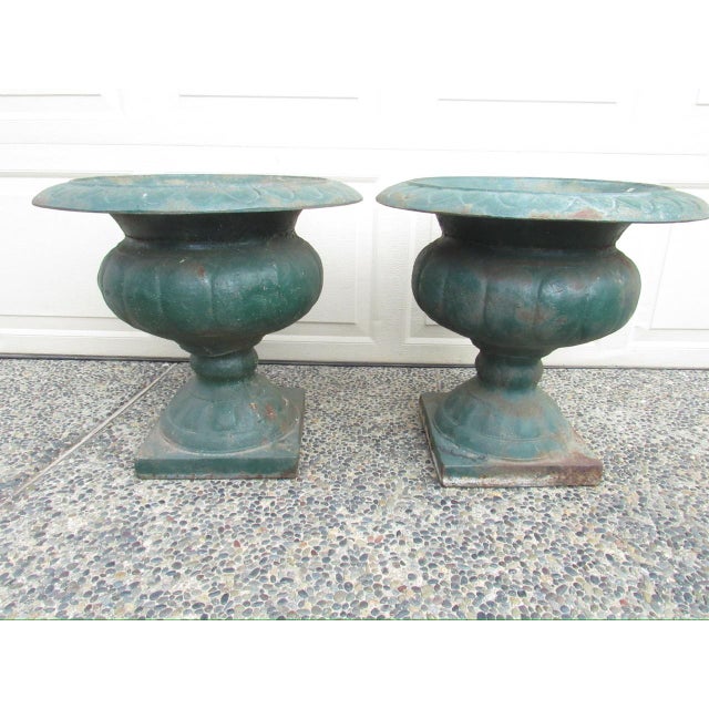Pair of Antique French Medici Style Cast Iron Urns For Sale - Image 9 of 18