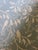 Galbraith & Paul Linen Blue Fabric Sumi 7 1/2 yards Galbraith & Paul Linen Fabric Sumi 7 1/2 yards Width: 54" Repeat: 36"v...