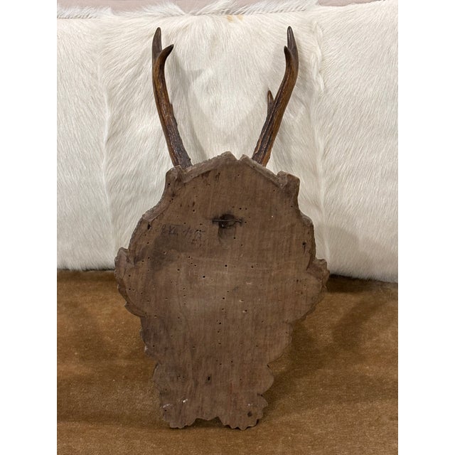 Antique Black Forest Roe Deer Trophy Antler Mount - (#3 of 3 Individual Mounts Listed) For Sale - Image 11 of 12