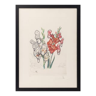 Salvador Dali "Gladiolus (Ears)" Etchings, 1972 For Sale