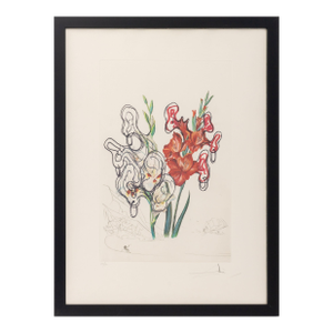 Salvador Dali "Gladiolus (Ears)" Etchings, 1972