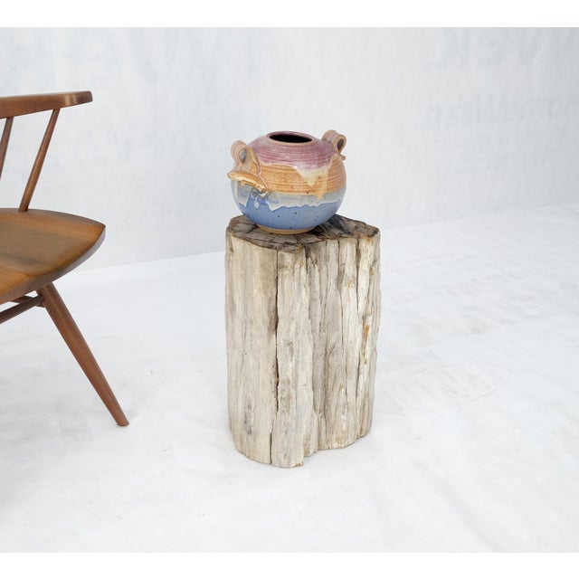 Early 21st Century Large Beige Petrified Wood Organic Stomp Shape Stand End Side Table Pedestal For Sale - Image 5 of 10