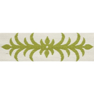 Sample - Schumacher X Celerie Kemble Acanthus Tape in Moss For Sale