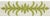 Sample - Schumacher X Celerie Kemble Acanthus Tape in Moss For Sale