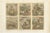 Six Mythical Scenes in Rich Color, 1800s, Paper For Sale