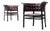 Antique Art Nouveau Armchairs by Marcel Kammerer for Gebrüder Thonet, 1910, Set of 2 For Sale