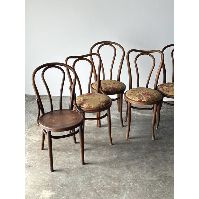 Bentwood Oak Café Chairs W/ Rose Floral Seats, 1933 World's Fair — Set of 7 For Sale In Greensboro - Image 6 of 17