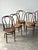 Bentwood Oak Café Chairs W/ Rose Floral Seats, 1933 World's Fair — Set of 7 For Sale In Greensboro - Image 6 of 17
