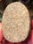 18th Dynasty Ancient Egyptian Carved Diorite Stone Heart Scarab, Circa 1500–1300 Bce For Sale - Image 18 of 18