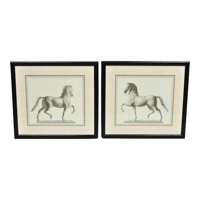 Late 20th Century Vintage Regal Horse Sketch Equestrian Print Framed Art Wall Decor, Set of 2 For Sale