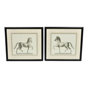 Late 20th Century Vintage Regal Horse Sketch Equestrian Print Framed Art Wall Decor, Set of 2