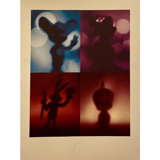 From his series SHADOW CARTOONS. Color iris print, hand initialed in pencil, This is not numbered. It is on Somerset...