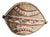African Maasai Leather Mask Shield, 1950s For Sale