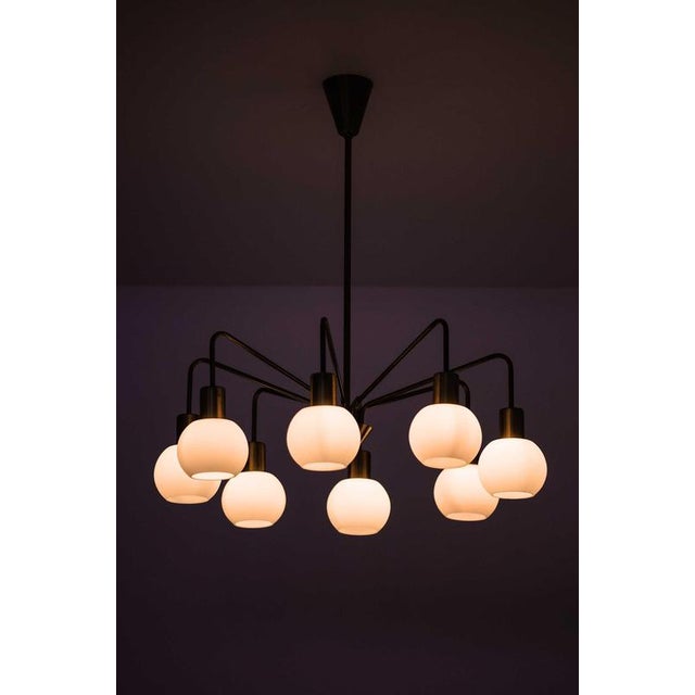 Gold Scandinavian Modern Chandelier in Brass and Opaline Glass, 1950s For Sale - Image 8 of 11