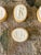 Antique Italian Grand Tour Plaster Intaglios - Set of 8 (Group #11) For Sale - Image 11 of 14