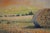 Everwyn, Impressionist Wheat Field Landscape, Oil Painting, Framed For Sale - Image 13 of 15
