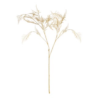 Gilded Fern Stems 36" St/4 For Sale