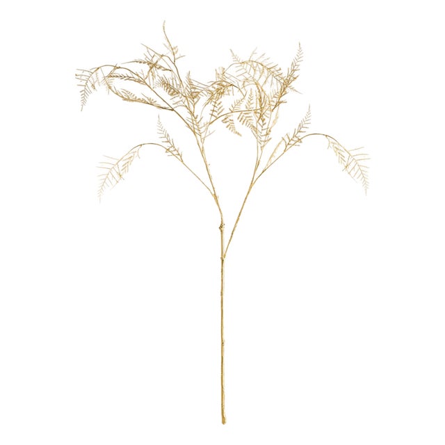 Gilded Fern Stems 36" St/4 For Sale