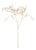 Gilded Fern Stems 36" St/4 For Sale