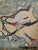 2020s Flying Ducks Sand by Mulberry Designer Fabric 2 3/8 Yards For Sale - Image 5 of 5