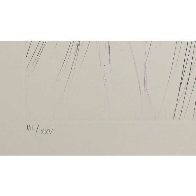 Salvador Dalí - The Beliagog Géant (the Giant Beliagog) - Drypoint - 1969 For Sale - Image 3 of 4