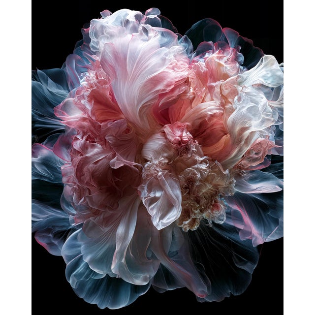 Petals of Light Surrealism Photograph For Sale