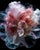 Petals of Light Surrealism Photograph For Sale