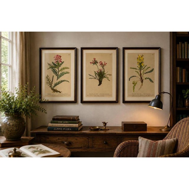 After Anton Hartinger, Pedicularis Botanical Plates, 1897, Chromolithographs, Set of 3 For Sale - Image 6 of 10