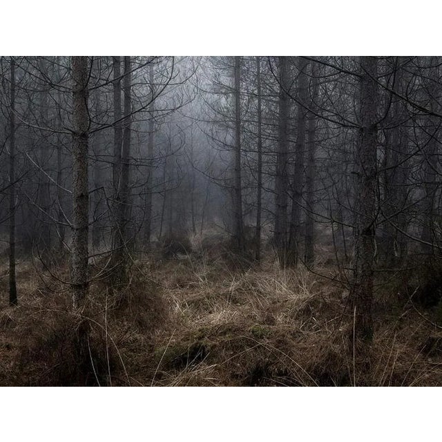 'Stillness 2' is an elegant C-Type Print on Fuji Crystal Archive Paper in Maxima Matte. This size print is available in a...