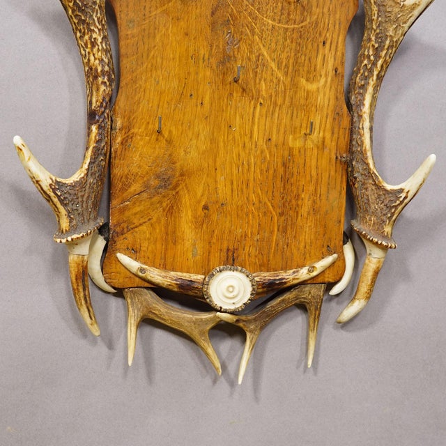 Wood Antique Black Forest Antler Key Rack, Germany Ca. 1930s For Sale - Image 7 of 7