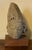 Antique 10th / 11th Century Buff Sandstone Carving - Head or Bust of a Deity - Buddha or a Bodhisattva For Sale - Image 10 of 15