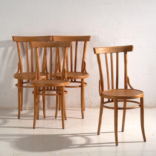 Bentwood Chairs in the style of Thonet, Central Europe, 1930, Set of 4 For Sale - Image 15 of 15