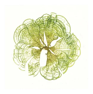 Bradbury Seaweeds 01, Unframed Artwork