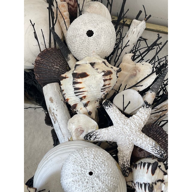 Rustic Fab Rustic Sea Shells Twigs Wreath Buny Williams Style For Sale - Image 3 of 4