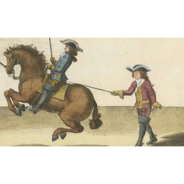 William Cavendish, Levade Horse Training, 1700s, Engraving For Sale - Image 9 of 12