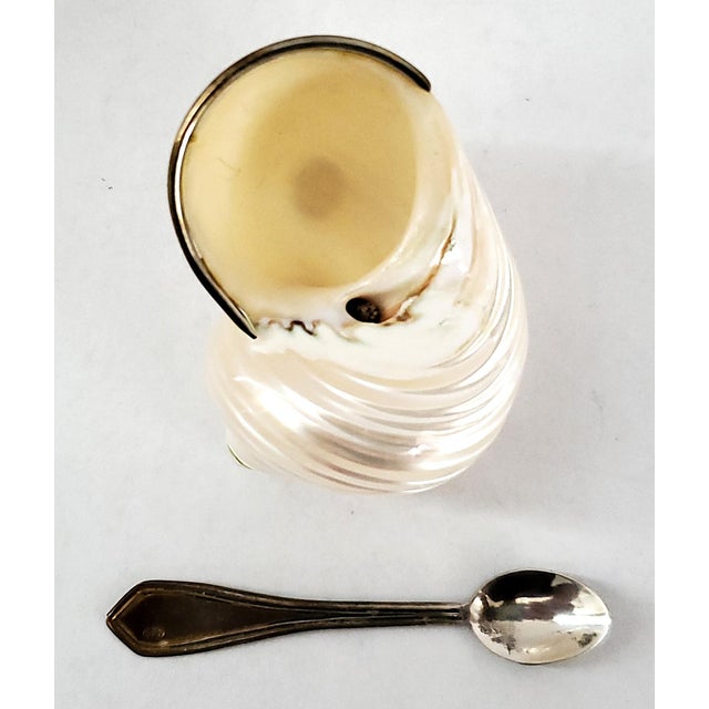 Caviar Dish by Scully & Scully Sterling Silver 925 Hallmarked & Spoon Seashell Shell For Sale - Image 16 of 17