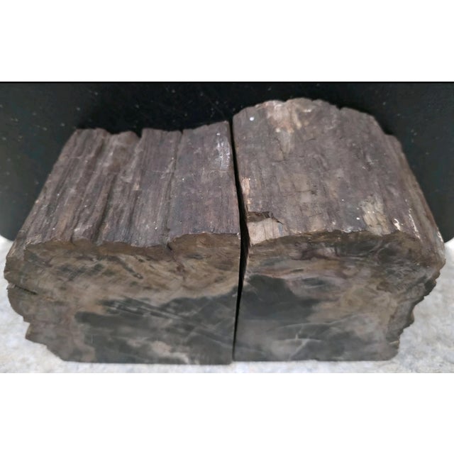 XL Petrified Wood Bookends 6.5”h 5”w 4"d Natural Top Fossil Art Decor 19+ Lbs! For Sale - Image 9 of 11