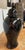 Ceramic Martino Interiors Glazed Ceramic Temple Jar For Sale - Image 7 of 12