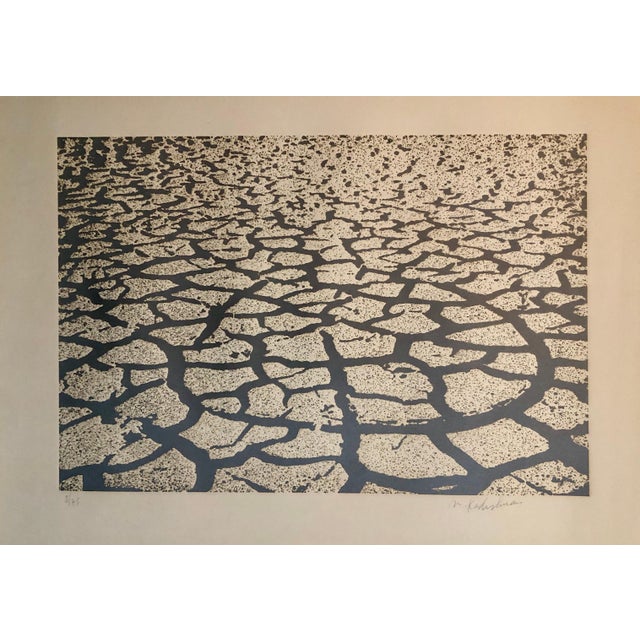 Menashe Kadishman, Israeli Modern Pop Art Aquatint Etching Cracked Earth Art Kadishman Lithograph, c.1979 For Sale