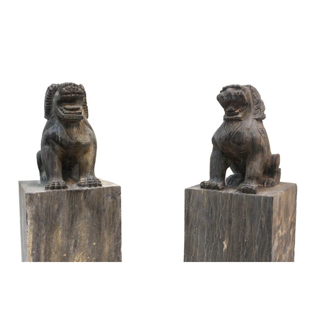 Garden Foo Dogs Stone 1930s Medium - Set of 2 For Sale - Image 4 of 13
