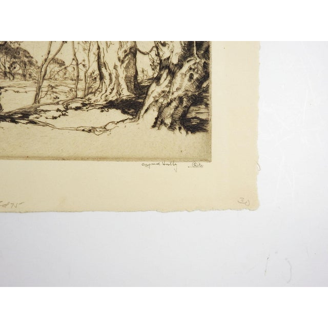 Circa 1920's etching on paper of Beverly Beeches, England by Alfred Hutty (1877-1954) American. Signed and titled in...