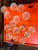 Dorothy Thorpe Mid 20th Century Dorothy Thorpe Mid-Century Modern Stemware Set, Glass, 15 Pieces For Sale - Image 4 of 12