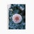 'First Frost / Final Bloom' Set of Botanical Photographs, Floral Art Series of Four 12 X 18" Fine Art Photography Prints For Sale - Image 4 of 7