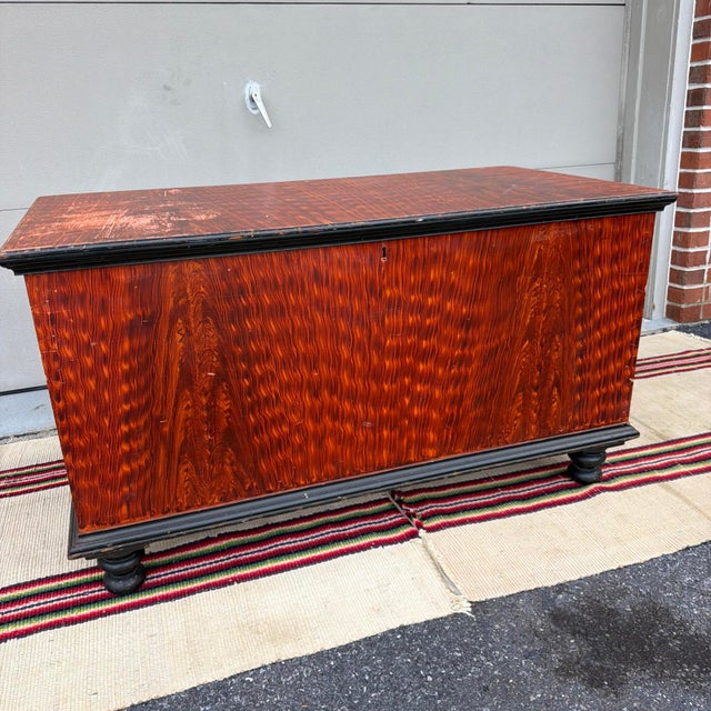 Antique Manheim, Lancaster County, Pa Flame Paint Decorated Blanket Chest 19th Century For Sale - Image 17 of 18